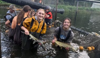 Riggins News: Salmon River Booster Club drive underway | Community