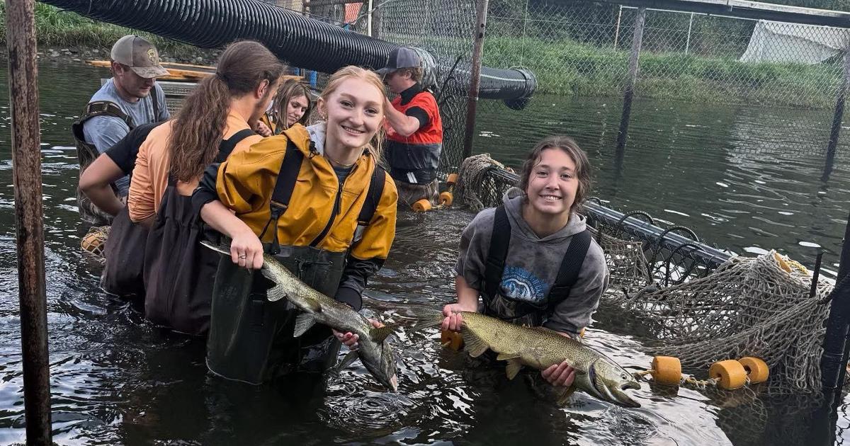 Riggins News: Salmon River Booster Club drive underway | Community