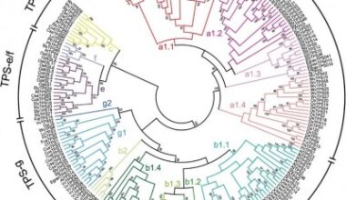 From scents to defense: decoding the genetic drivers of plant terpenes