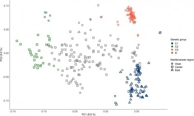 Olive tree flowering mapped to key genetic regions