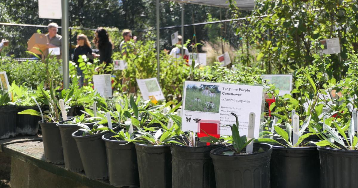 Houston Arboretum hosts Fall Plant Sale Oct. 3/4 | Coast To Coast