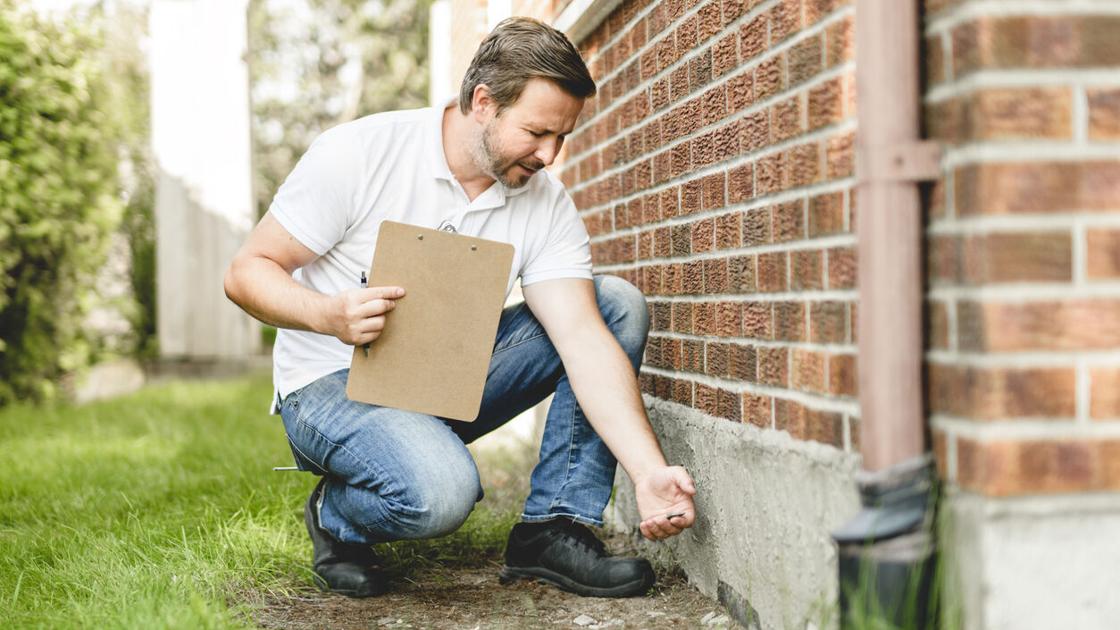 Pest control starts with prevention