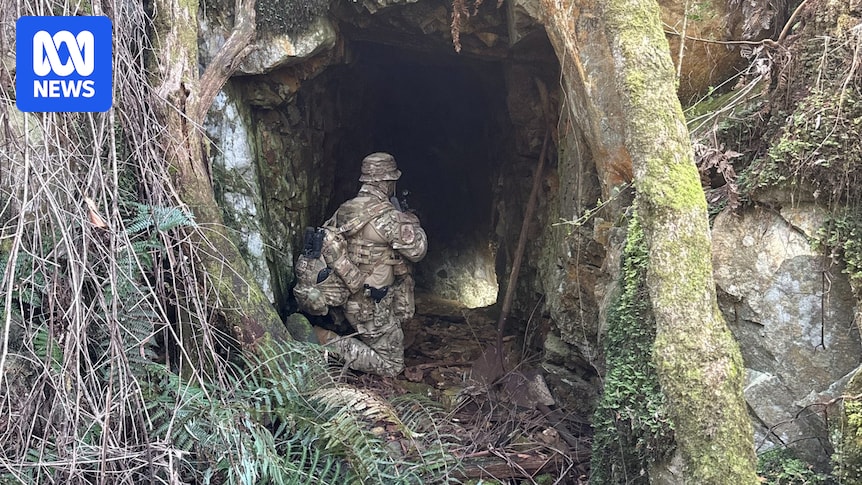 Dezi Freeman search at Porepunkah now Australia's largest tactical police deployment