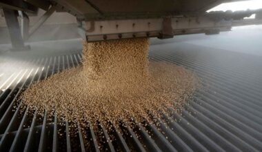 China signals that purchases of US soybeans hinge on tariff removal