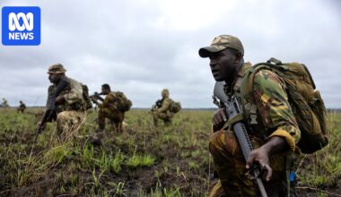 Australia and Papua New Guinea to 'totally integrate' military in defence treaty, minister says
