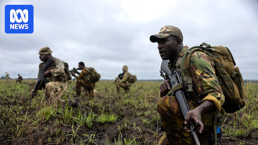 Australia and Papua New Guinea to 'totally integrate' military in defence treaty, minister says