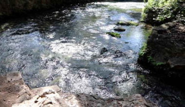 Barton Springs-Edwards Aquifer District declares exceptional drought for second time in history