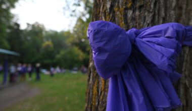 Gov. Hochul says N.Y. landmarks to be lit purple for International Overdose Awareness