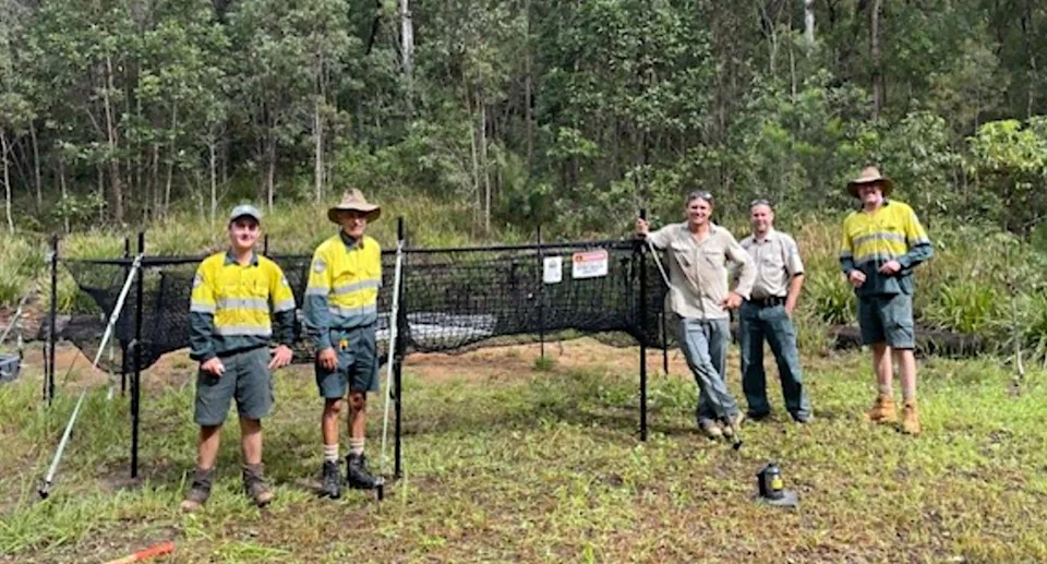 Five rangers standing around the circular netting trap. 