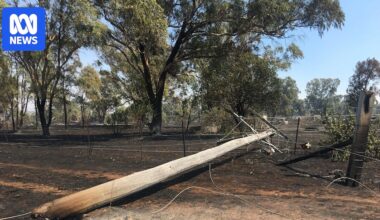 Technology to prevent power line faults sparking bushfires trialled