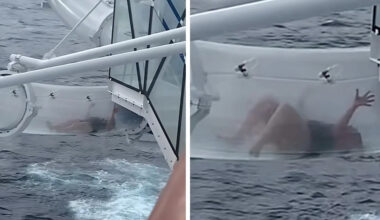 Yahoo entertainment home