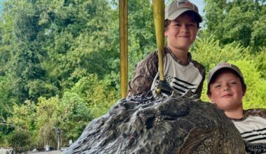 Hunters capture 14-foot alligator in Mississippi: See photos
