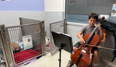 Cello, violin students provide 'comfort' for Humane Society pets
