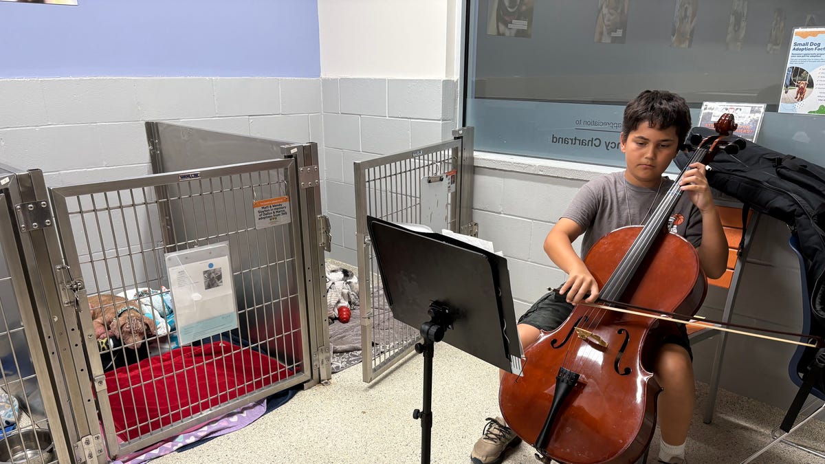 Cello, violin students provide 'comfort' for Humane Society pets