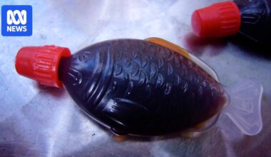 Nation-first ban on fish-shaped plastic soy sauce containers begins in SA