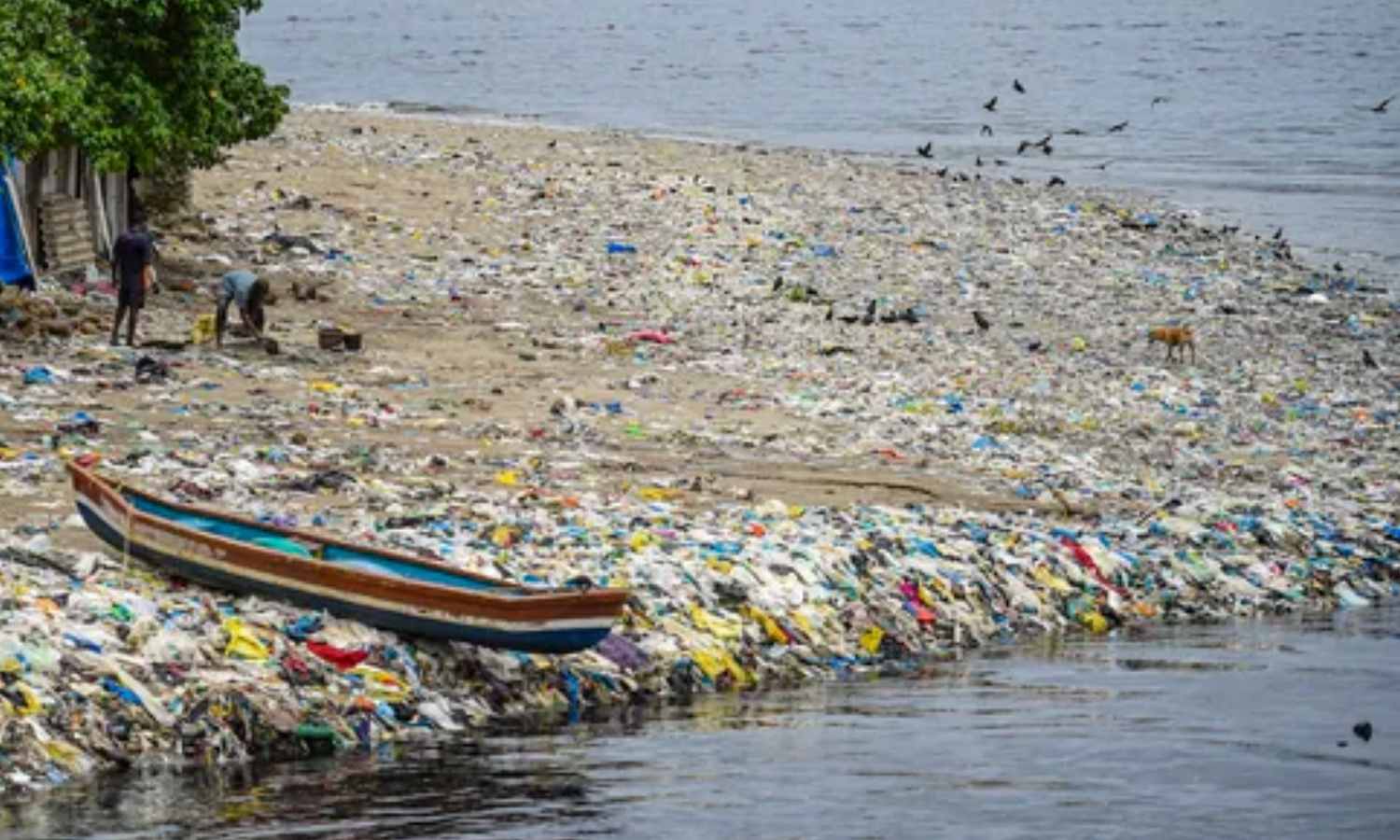 ICMR to conduct surveillance of waste water in 50 cities to establish early warning system