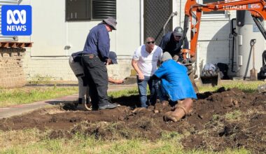 Bones found at Port Lincoln property in search for Susan Goodwin