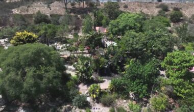 San Diego Botanic Garden offers natural oasis in Encinitas