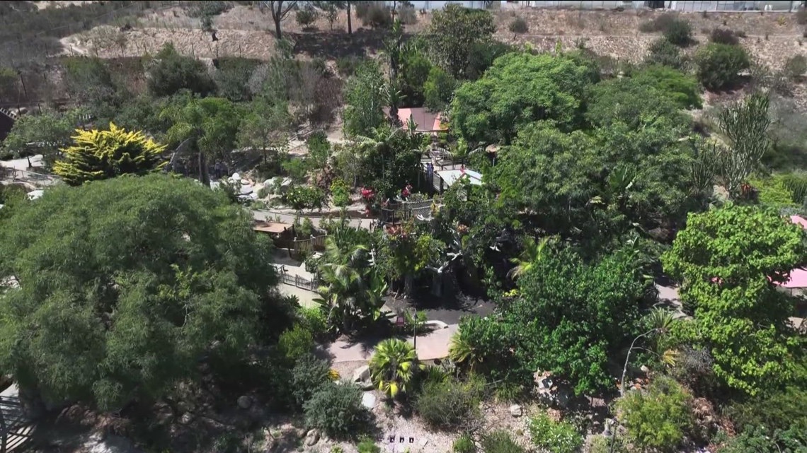 San Diego Botanic Garden offers natural oasis in Encinitas