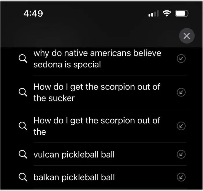 Search history showing queries about scorpions and pickleball balls, with a query on Sedona's significance