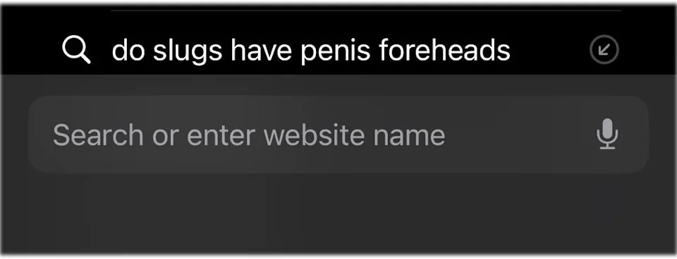 Search bar query: "do slugs have penis foreheads"