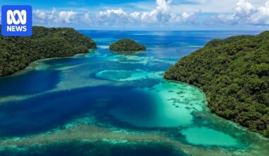Scientists hope planting Palau's 'super corals' will save reefs from climate change