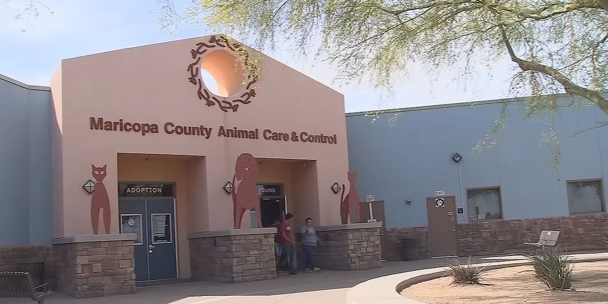 Woman accused of threatening Phoenix animal shelter employees, forcing evacuation