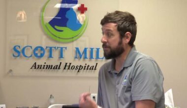 Owner of Mandarin veterinary hospital pushes for return of guardrail due to rising safety concerns