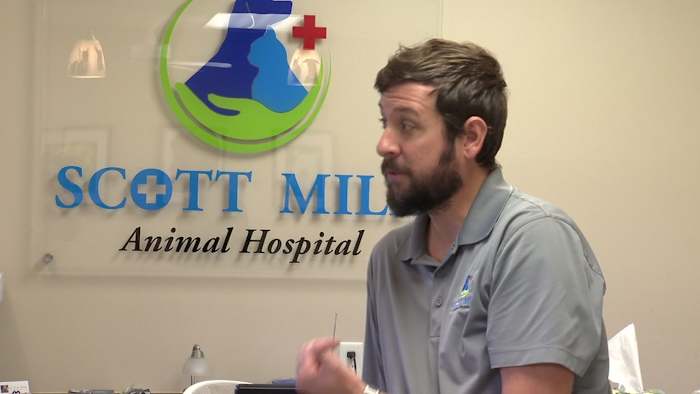 Owner of Mandarin veterinary hospital pushes for return of guardrail due to rising safety concerns