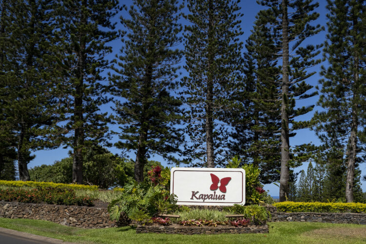 Kapalua golf course without irrigation for 7 days under worsening water restrictions | News, Sports, Jobs