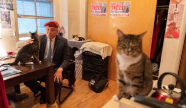 Donald Trump dismisses Curtis Sliwa – NBC New York