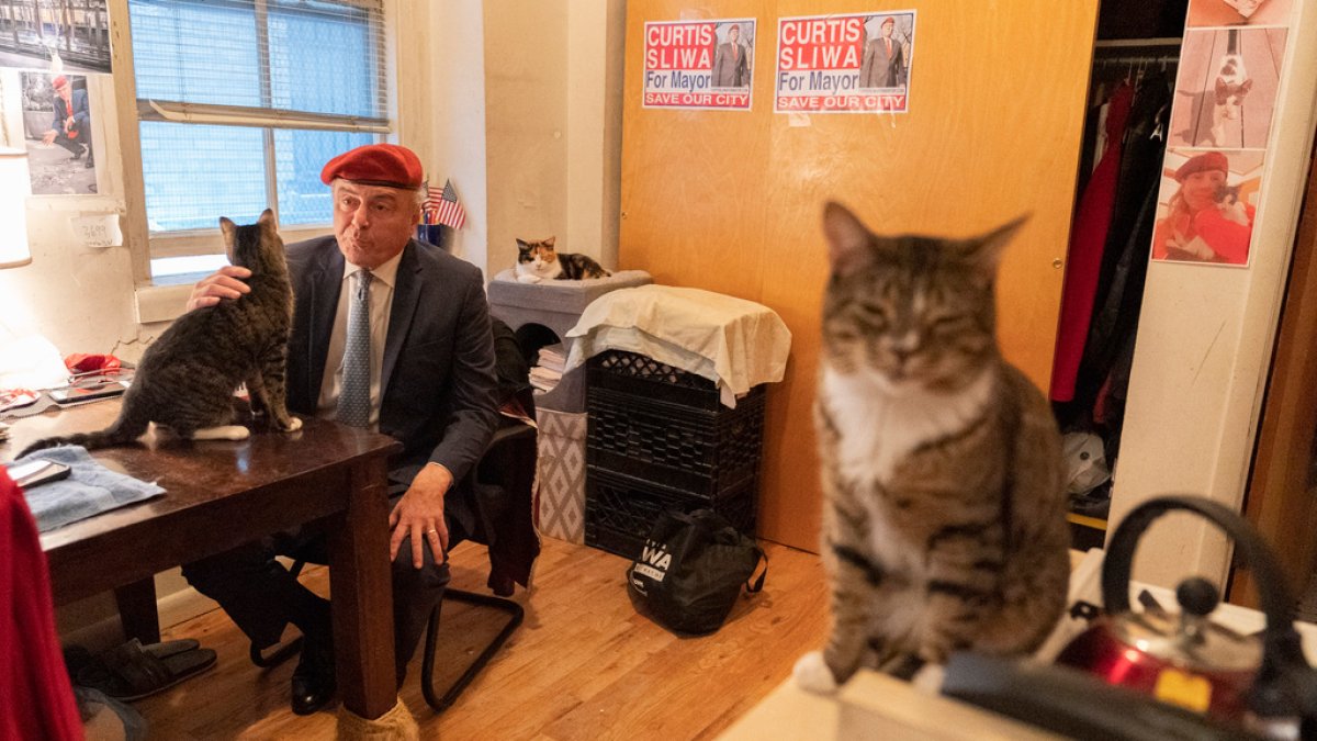 Donald Trump dismisses Curtis Sliwa – NBC New York