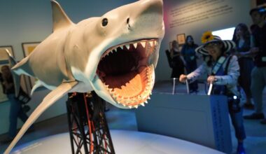 Steven Spielberg celebrates ‘Jaws’ exhibition at Academy Museum – NBC Los Angeles