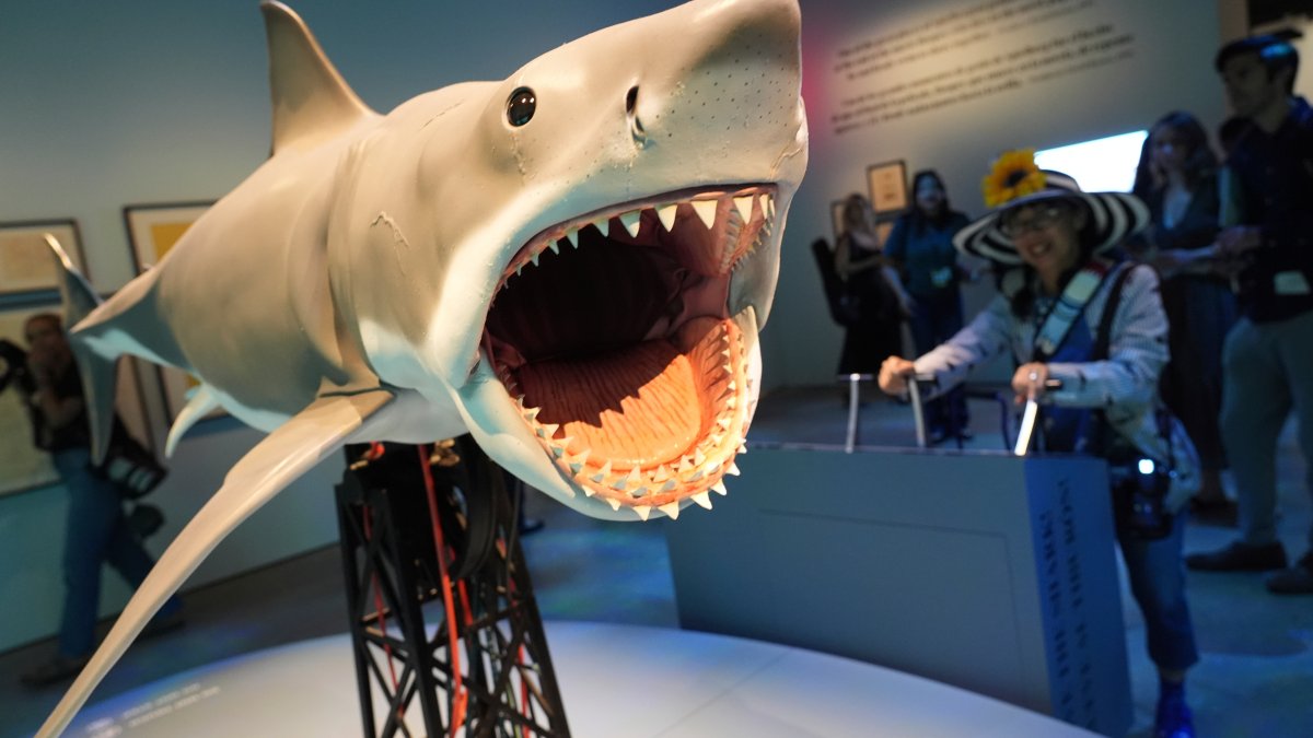 Steven Spielberg celebrates ‘Jaws’ exhibition at Academy Museum – NBC Los Angeles