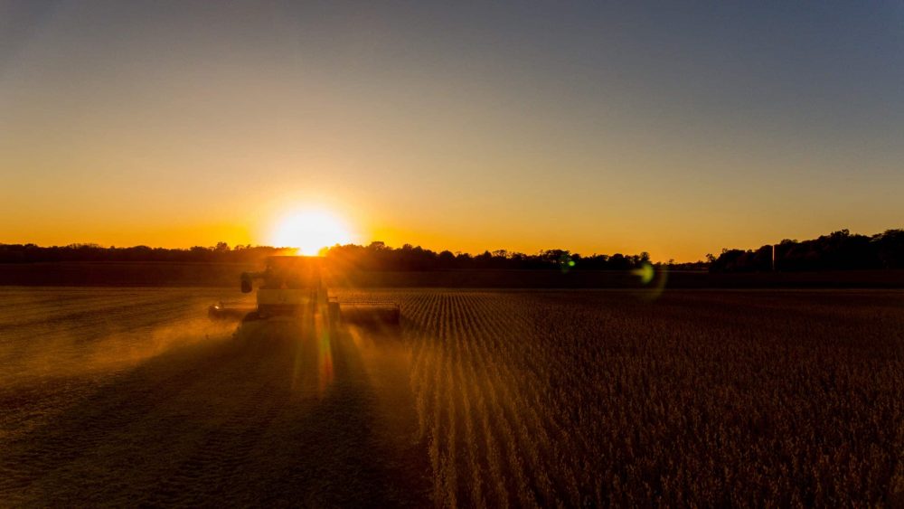 Quiet Monday in the Markets Ahead of USDA Reports Tomorrow