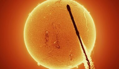 A dark silhouette of a rocket passing in front of the bright, detailed surface of the Sun, with visible solar activity and glowing orange plasma.