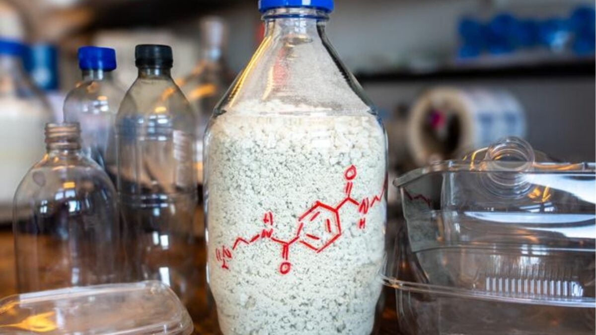 Scientists Turned Plastic Trash Into a Material That Eats Carbon