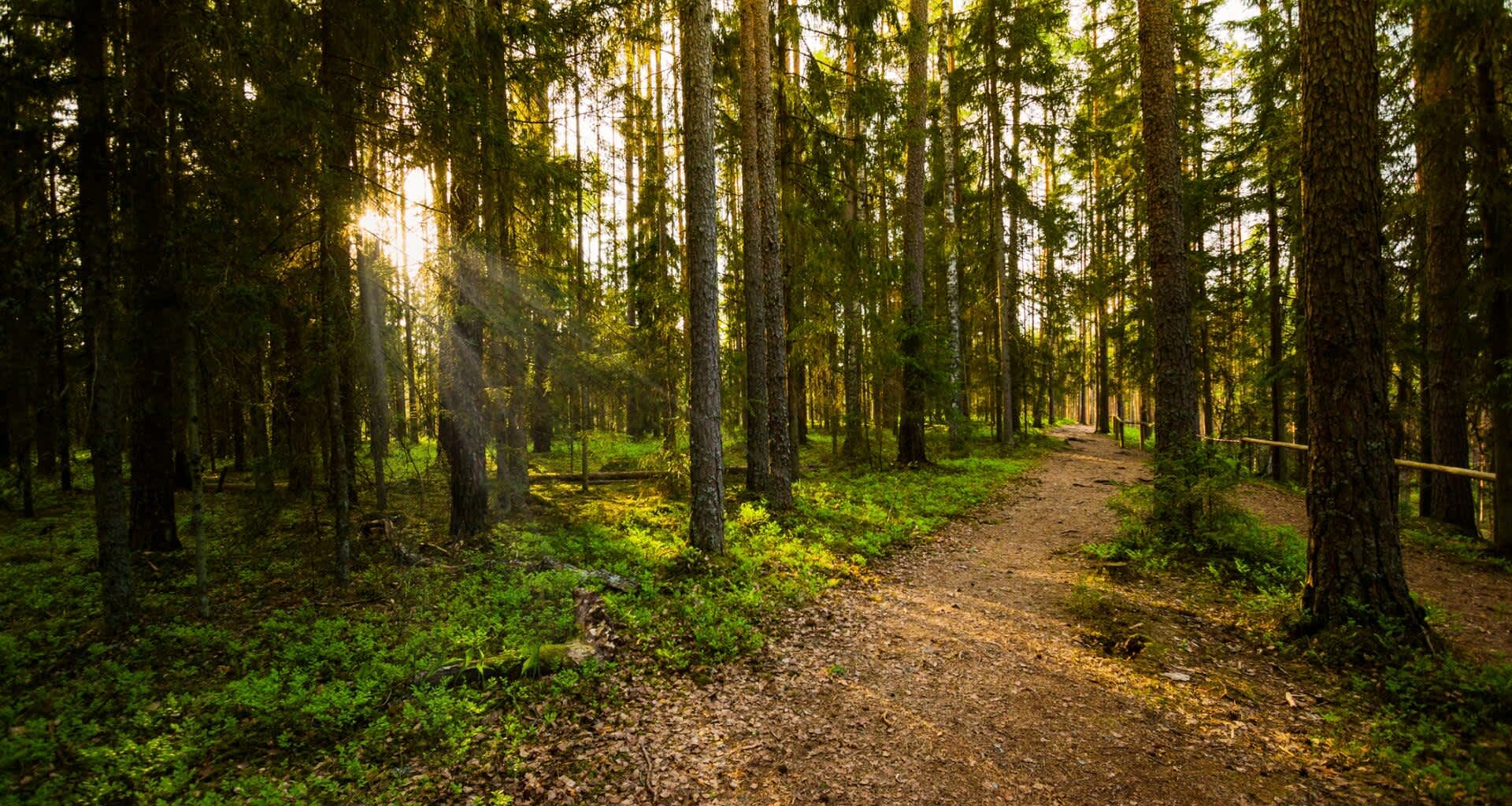 This knowledge can help inform decisions about population health and habitat loss.