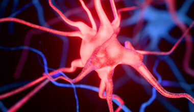 Microplastics Linked to Worsening Alzheimer's Symptoms in Mice : ScienceAlert