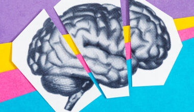 Switching Off One Crucial Protein Appears to Reverse Brain Aging in Mice : ScienceAlert