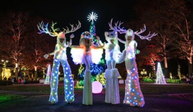 US Holiday Tourism Boosted by New York City Bronx Zoo Lights and Festive Attractions