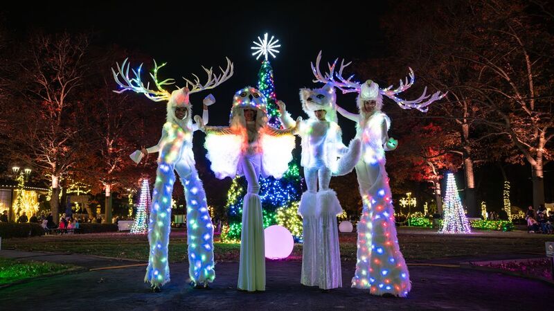 US Holiday Tourism Boosted by New York City Bronx Zoo Lights and Festive Attractions