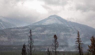 Evacuation orders given to some Alberta residents located near wildfire