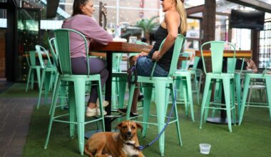 Why dogs shouldn't be allowed into restaurants