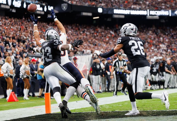 Chicago Bears tight end Cole Kmet (85) misses a touchdown...