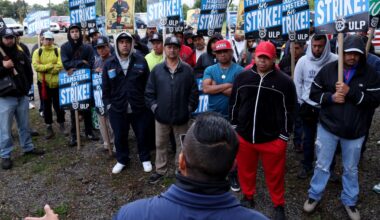 Workers strike over immigration protections in Little Village