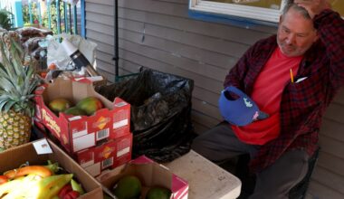 Chicago's street vendors vanish from corners during ICE surge