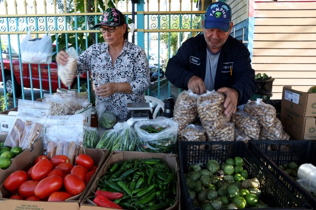 Vendors Rodolfo Espinoza and wife, Celia, stock bags of peanuts for sale at their produce stand in Chicago, Sept. 18, 2025. (Antonio Perez/Chicago Tribune)