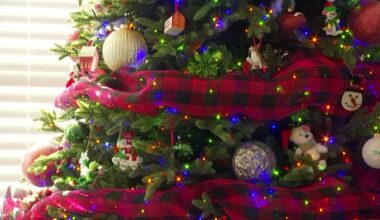 Spirit Christmas stores expanding to the Chicago area – NBC Chicago