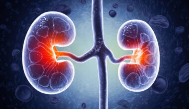 Chronic Kidney Disease Human Organs